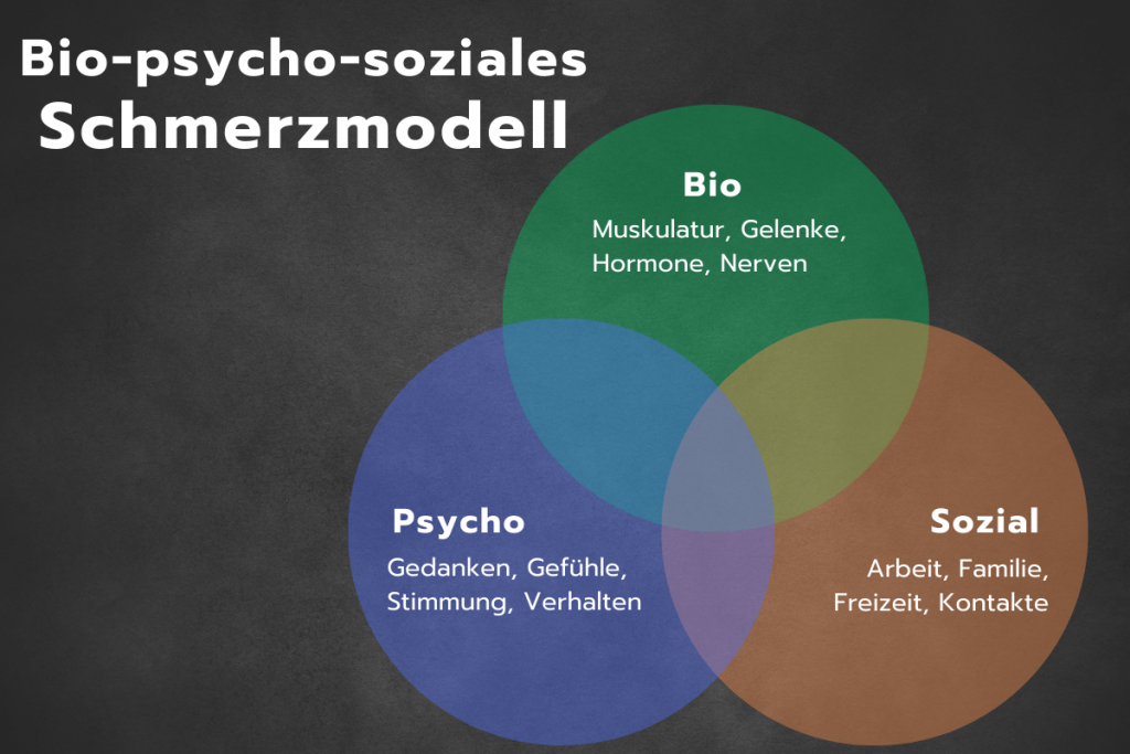 Psycho-Soziales-Schmerzmodell
