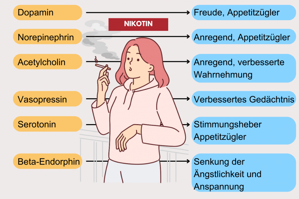Wie wirkt Nikotin im Gehirn?